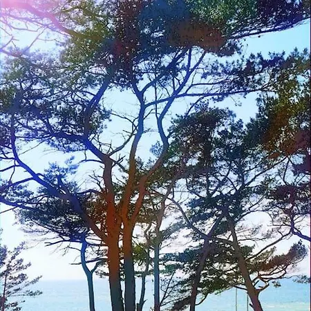 Campolohel- Przyczepa Kempingowa Ferienhaus *