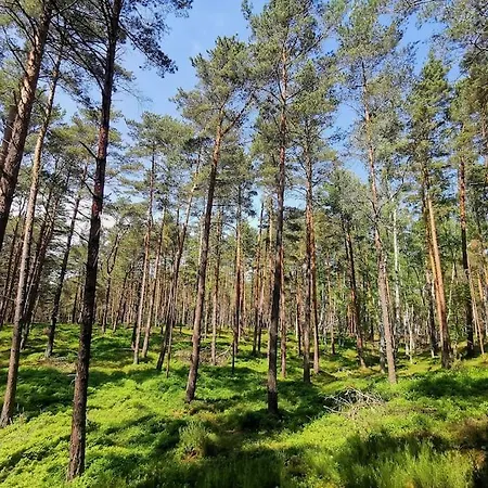 Campolohel- Przyczepa Kempingowa *