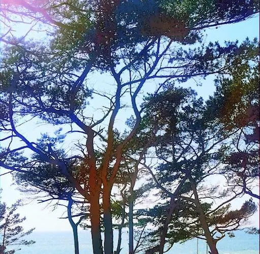 Campolohel- Przyczepa Kempingowa Дом отдыха *