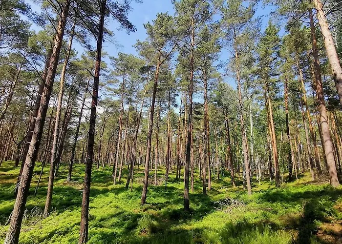 Campolohel- Przyczepa Kempingowa *